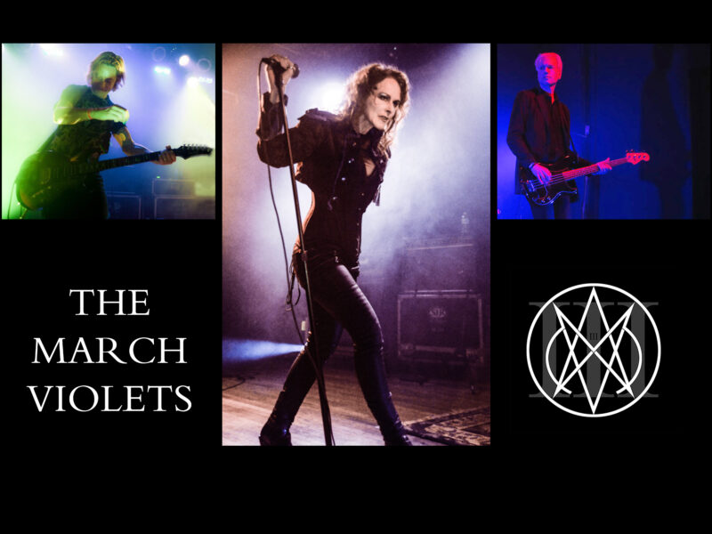 Very Special Guests<br />The March Violets
